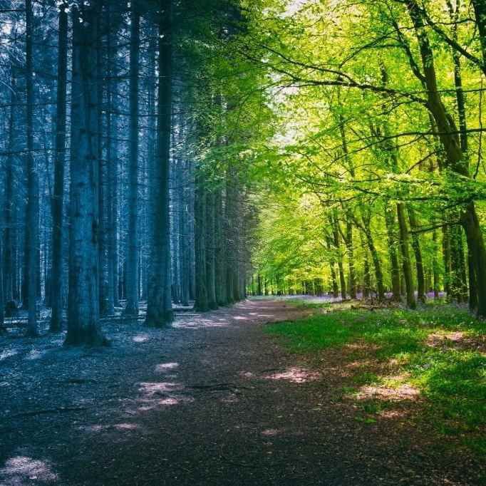 آهنگ جدید دمت اوزدمیر آه یار